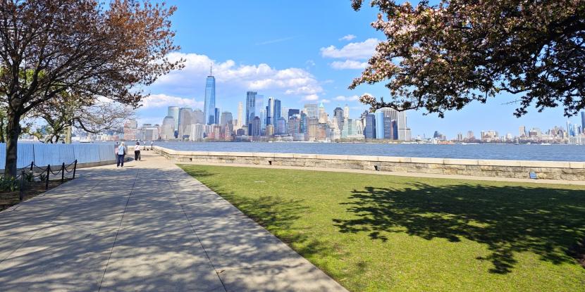 NYC skyline view from a park with grass and trees