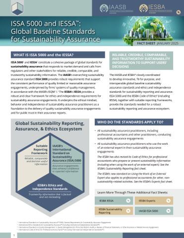 IAASB-IESBA-Global-Baseline-Standards-Sustainability-Assurance.pdf